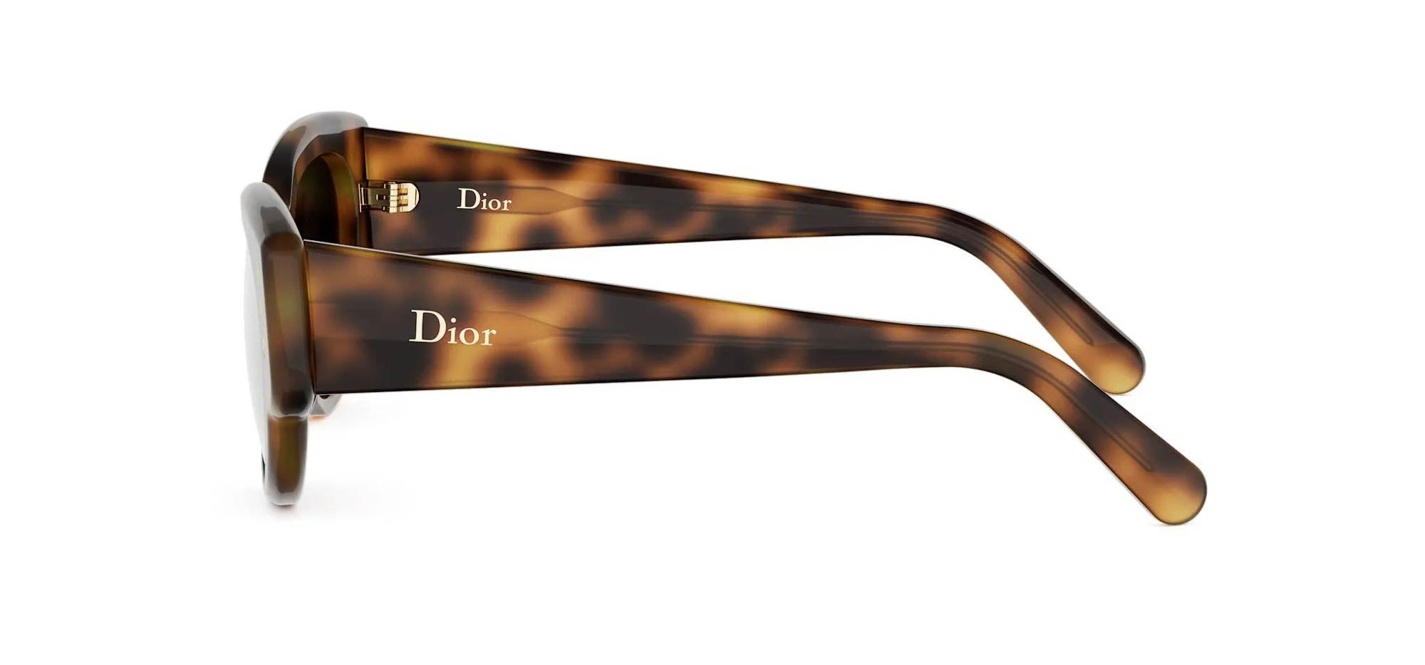 Dior Lucky Charms B1I Oval