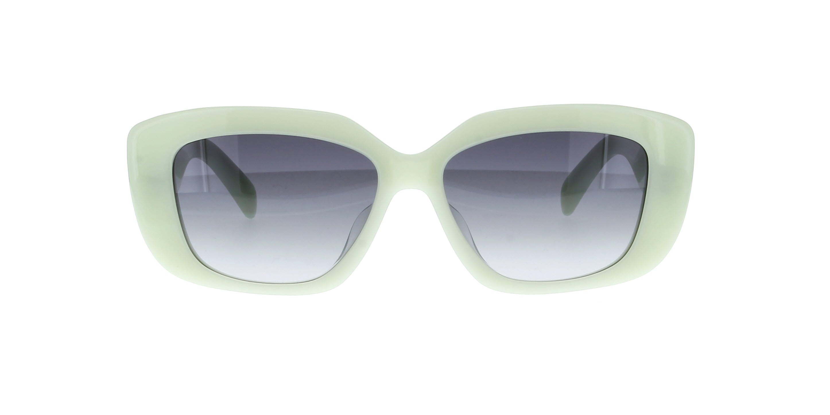 CELINE Triomphe CL40216U Square