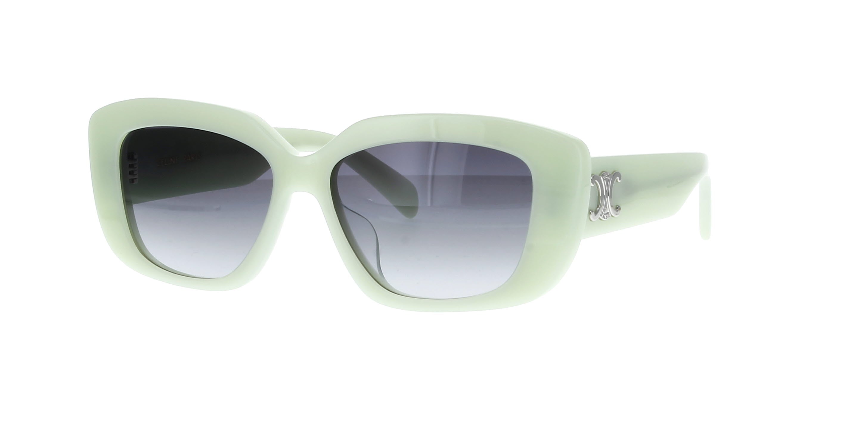 CELINE Triomphe CL40216U Square