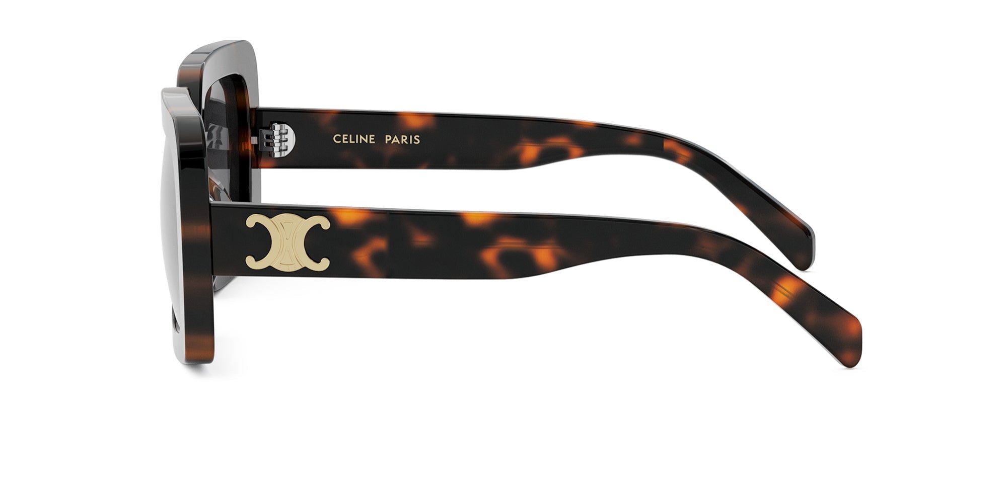 CELINE Triomphe CL40304U Square