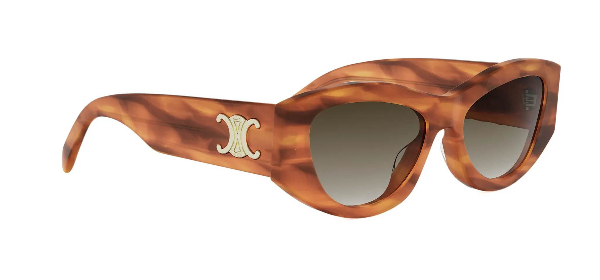 Celine Triomphe CL40308U Square