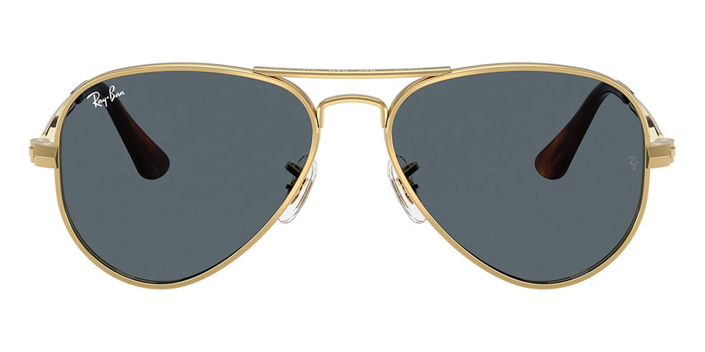 Ray-Ban Aviator Max RB 3925 001/R5 Aviator